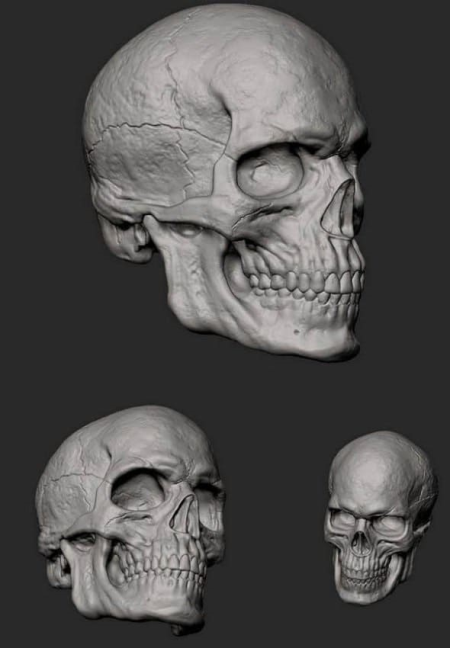 Male Skull - 3D print