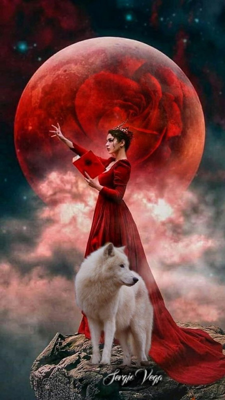 84E9BFA9-959D-49AE-A6C4-1368400CC9FC