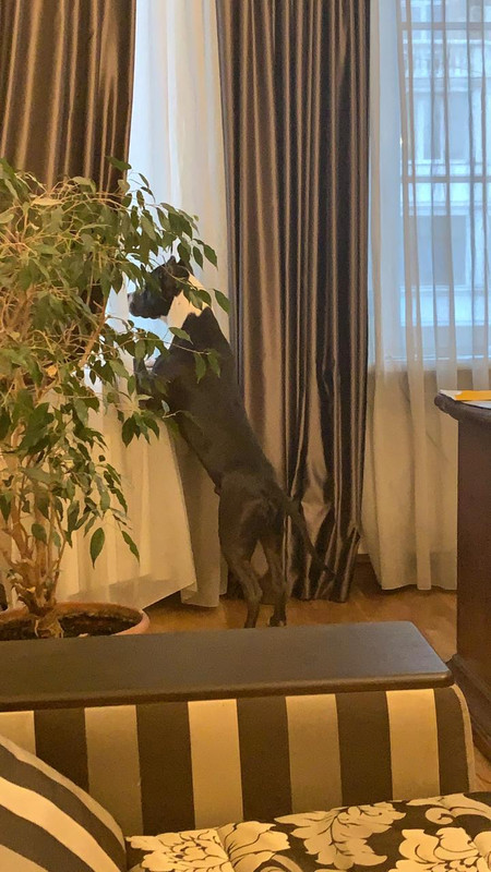 EEA283E1-6FA0-4AB2-8BEE-870E58DDEE7B