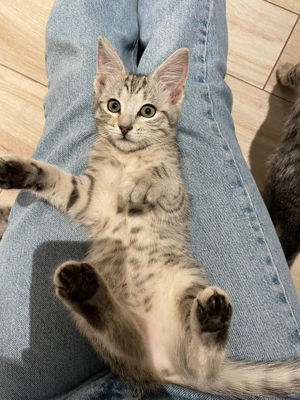 083A3FF8-2BB1-4350-A2D7-38270DE17F10