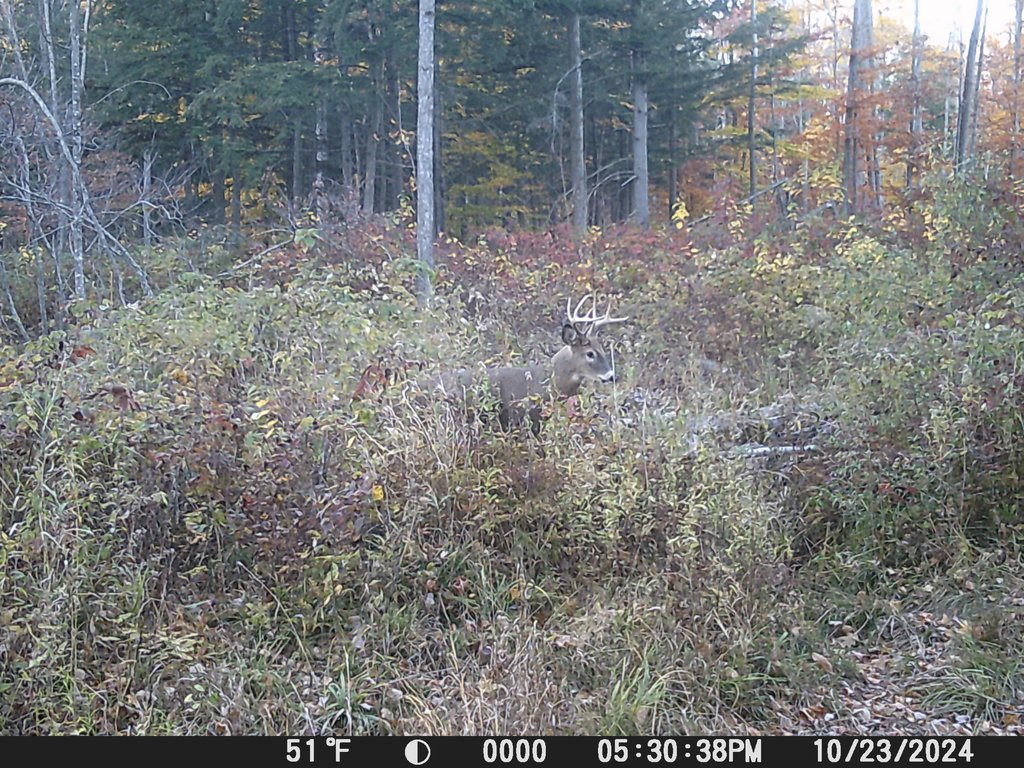 DSCF0434