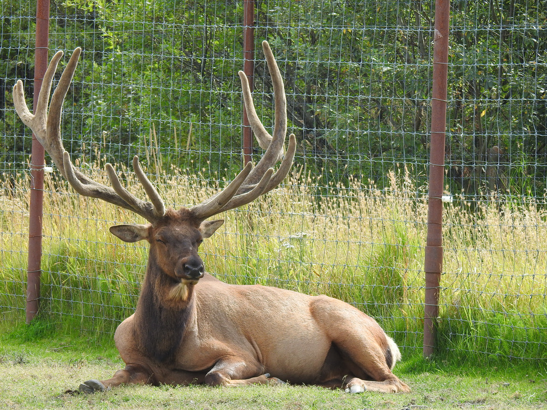 0ABC6847-D47D-4983-AAC8-D9A31C5F67FD