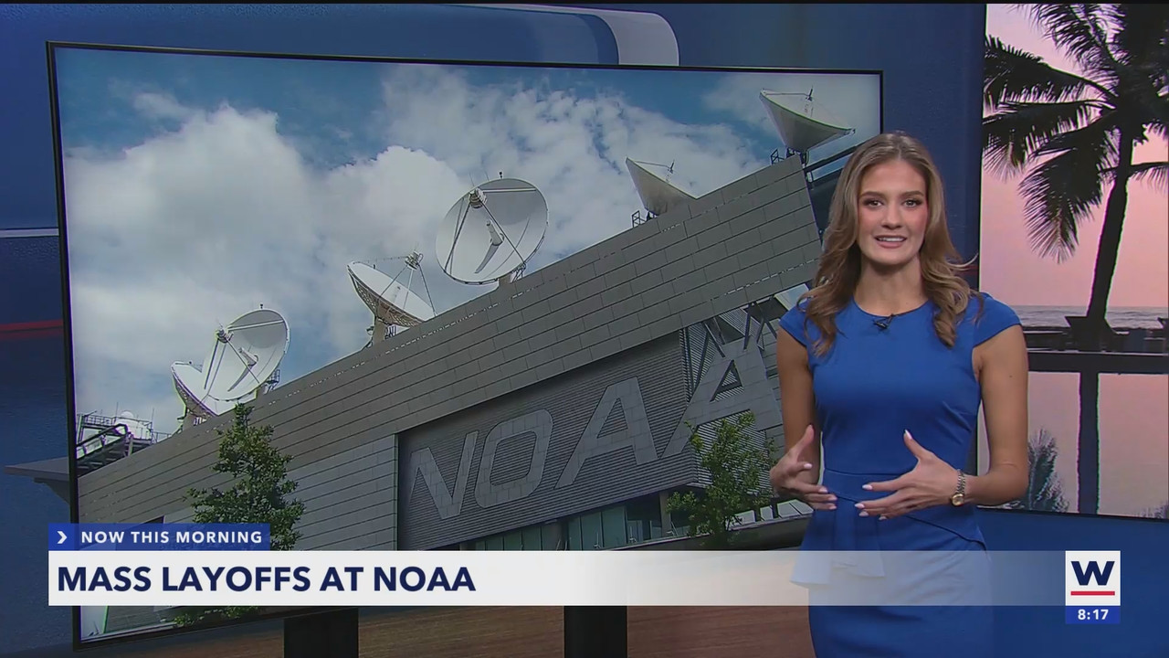 WINK News at 800AM_20250302_13001400.ts_snapshot_00.18.16.057