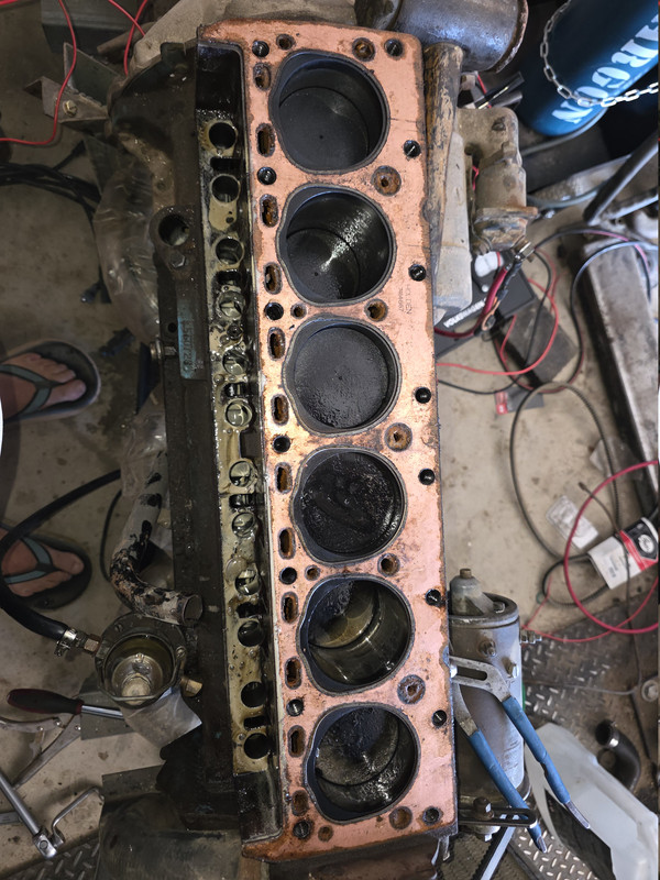 Head Gasket