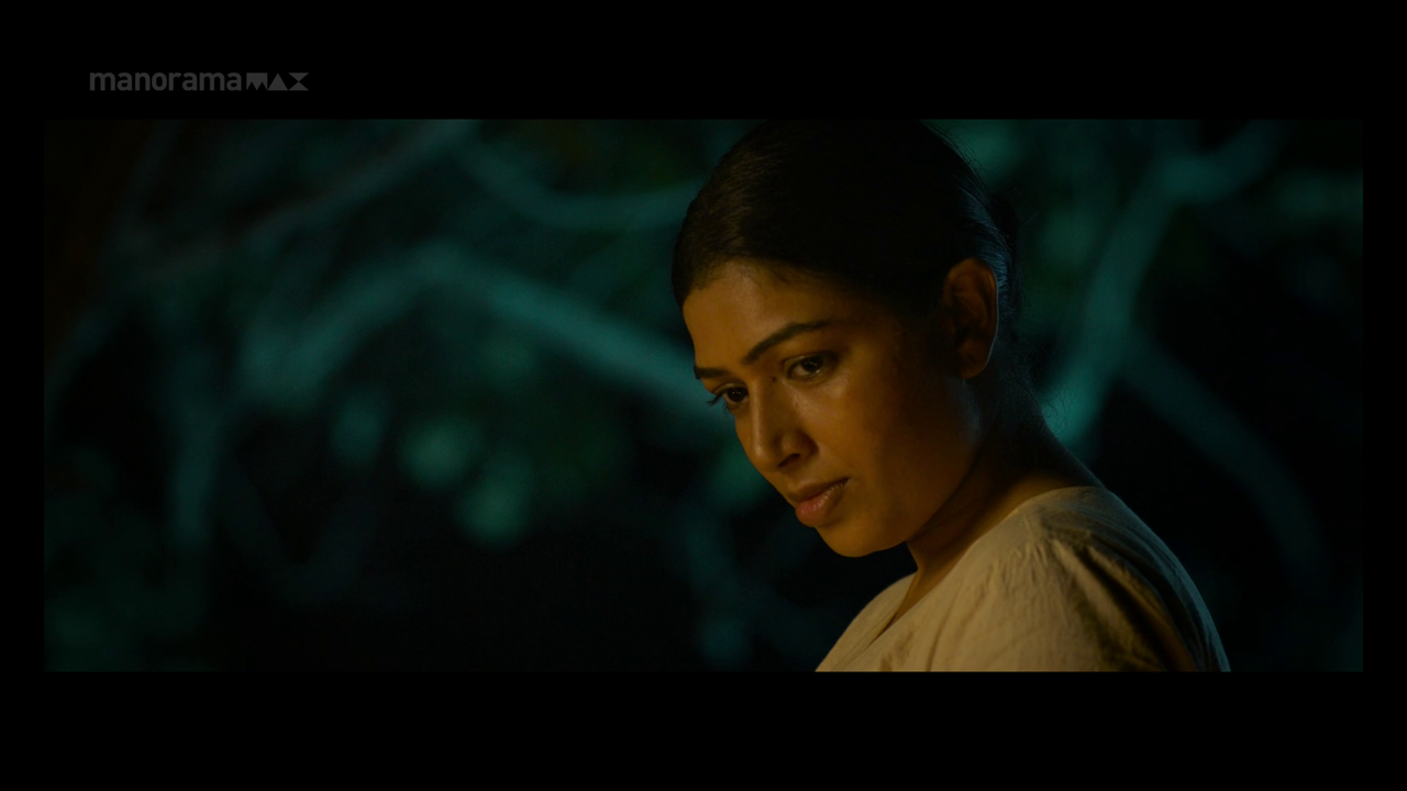 vlcsnap 2026 02 02 13h52m06s327