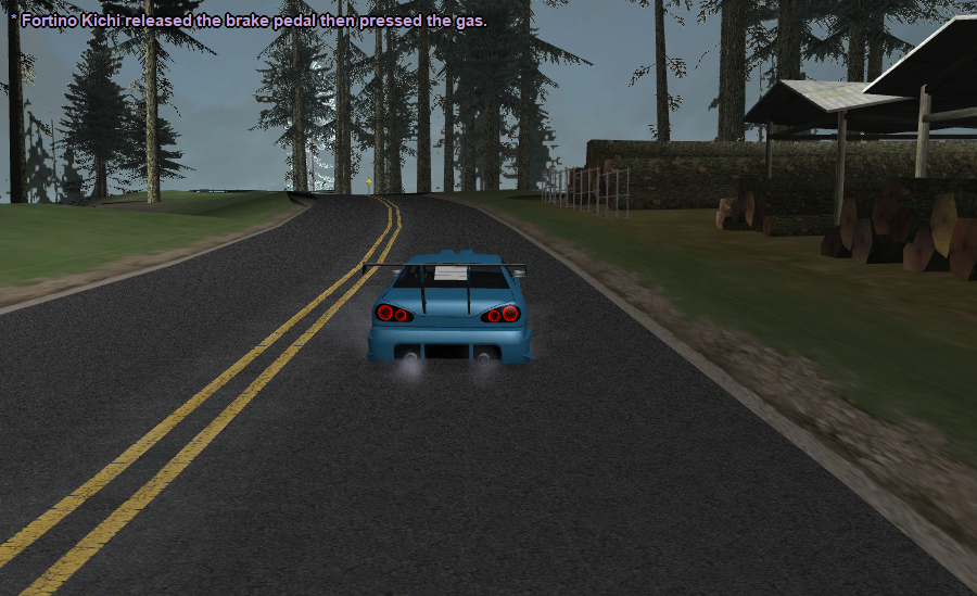 srs041.png