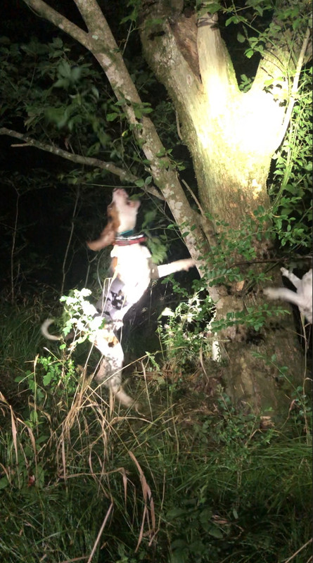 2B885D47-8197-4C1D-A7D0-63D240E8B3E0