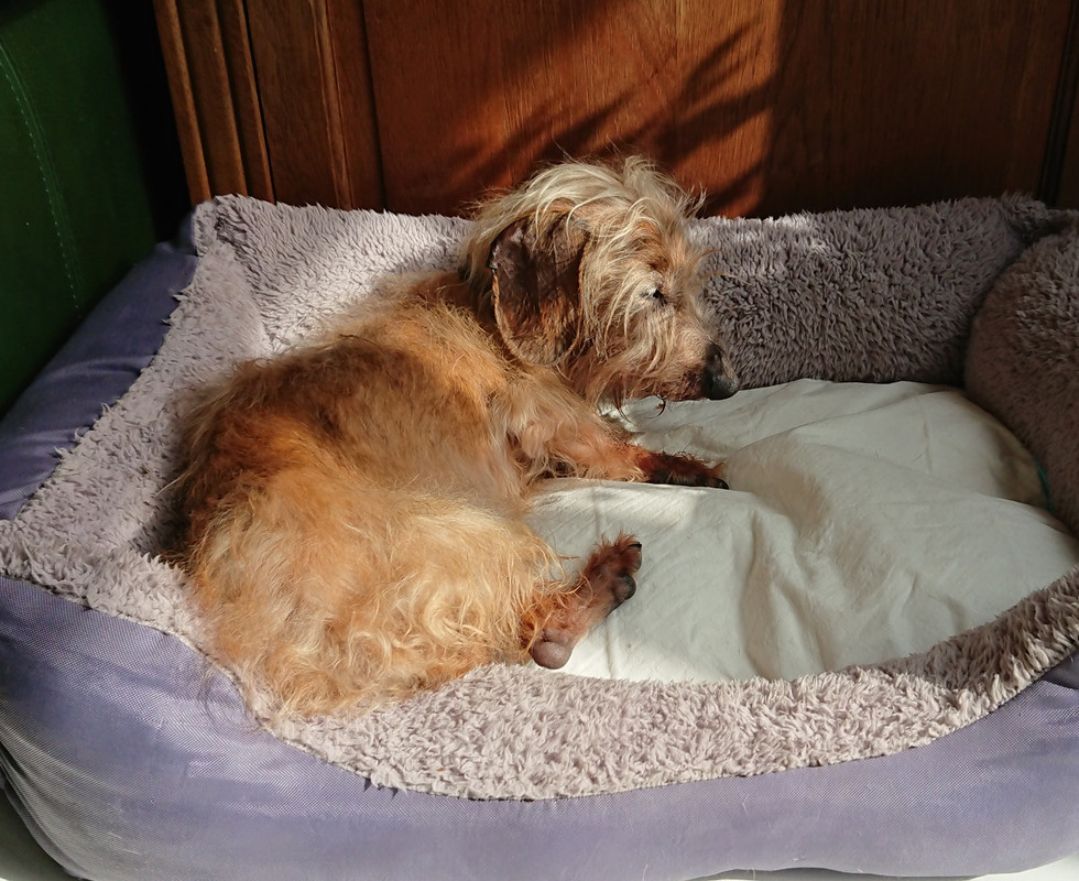 [Image: 20220829-104343.jpg]