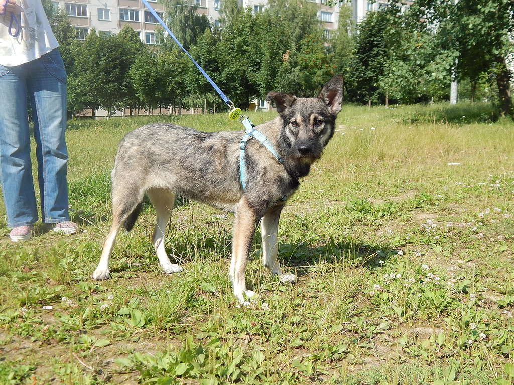 Sandra stands with leash