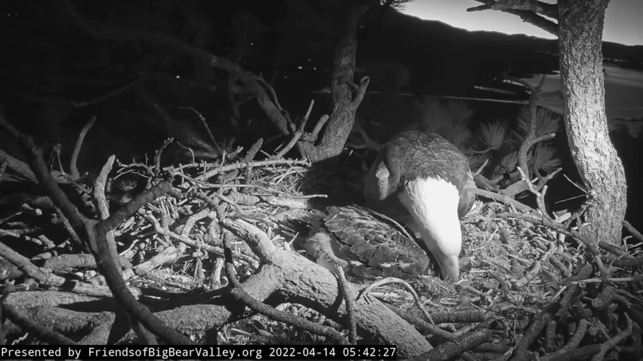 Webp.net-gifmaker (9)