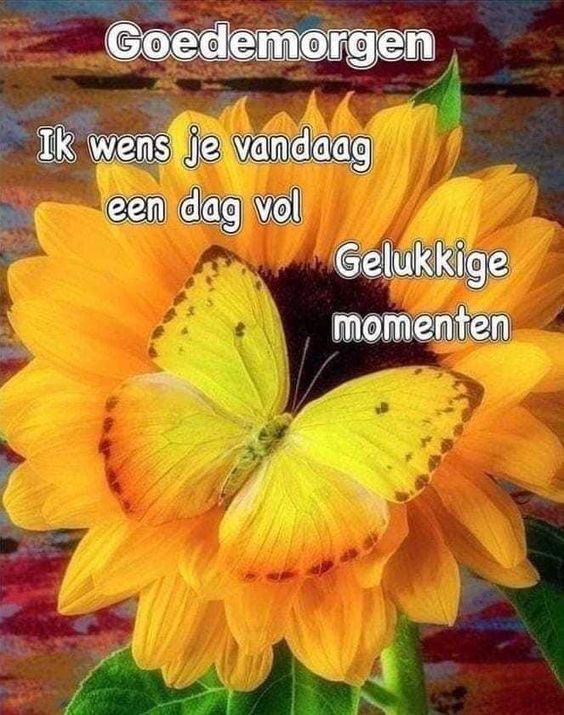 382a5d3e860cc61c835fb28220f62ac5