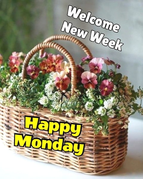 MONDAY-lundi-22
