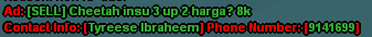 ads-2.png
