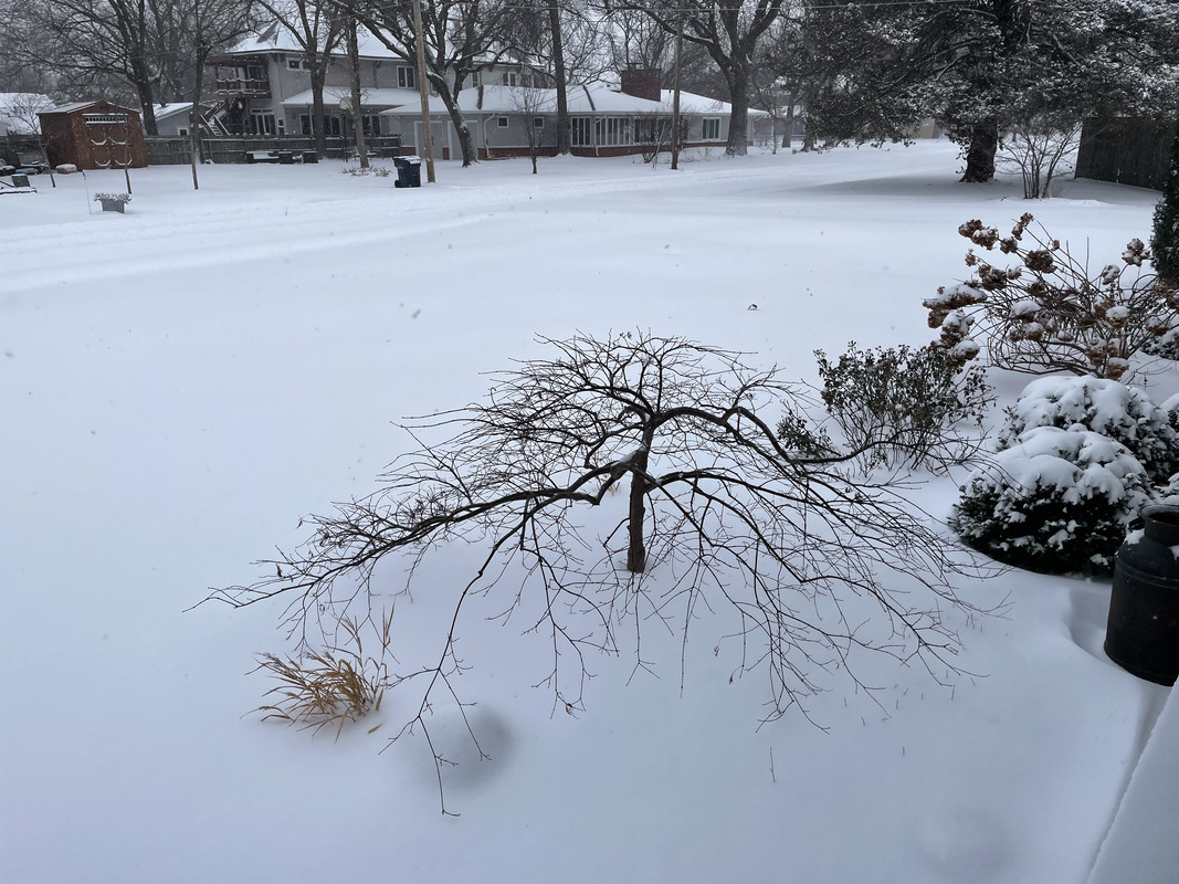 F5C34372-E1D4-4A78-86A2-20AFB31B0448