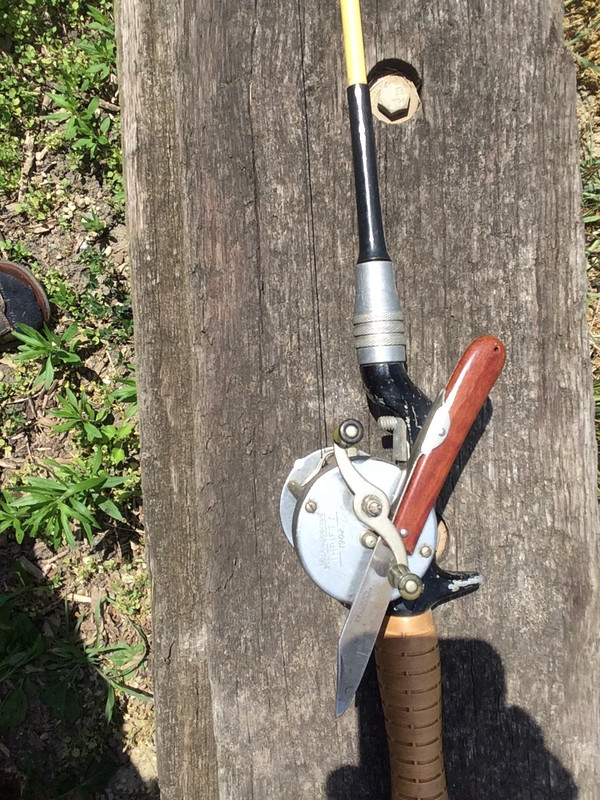 7BFF655A-548B-42BA-AF93-EC626E8A0367