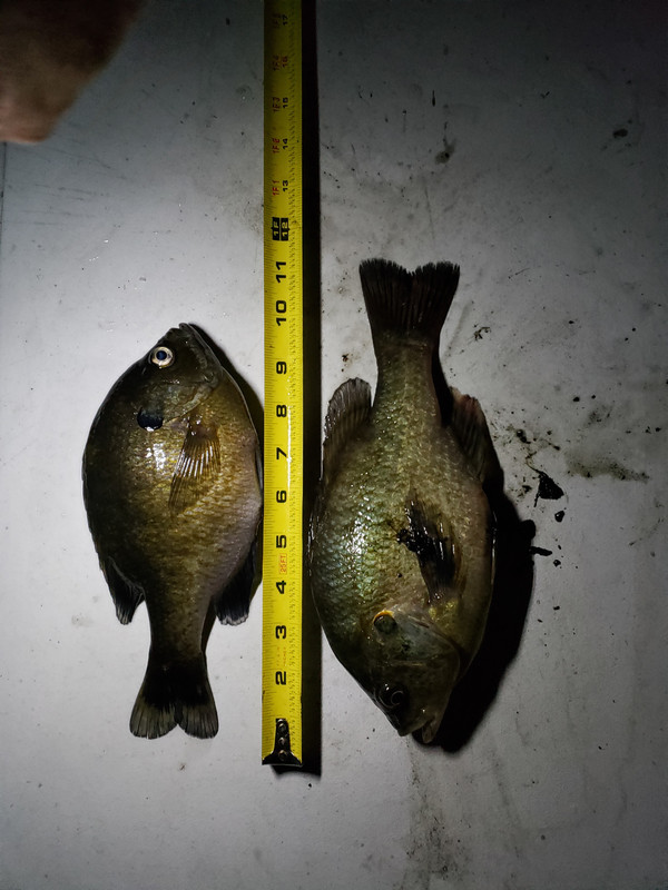 Clear Lake 7-17-19