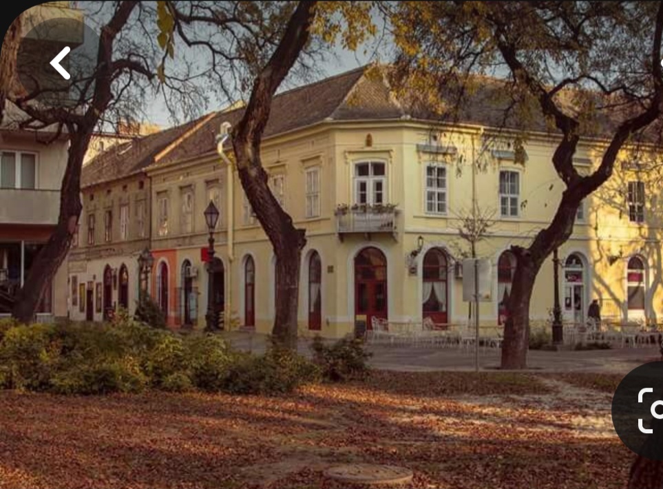 Screenshot_20231119_093609_Pinterest