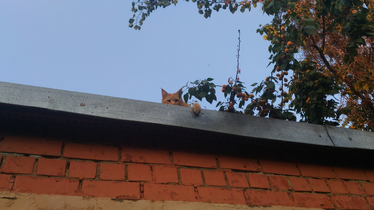 Подготовка (34)