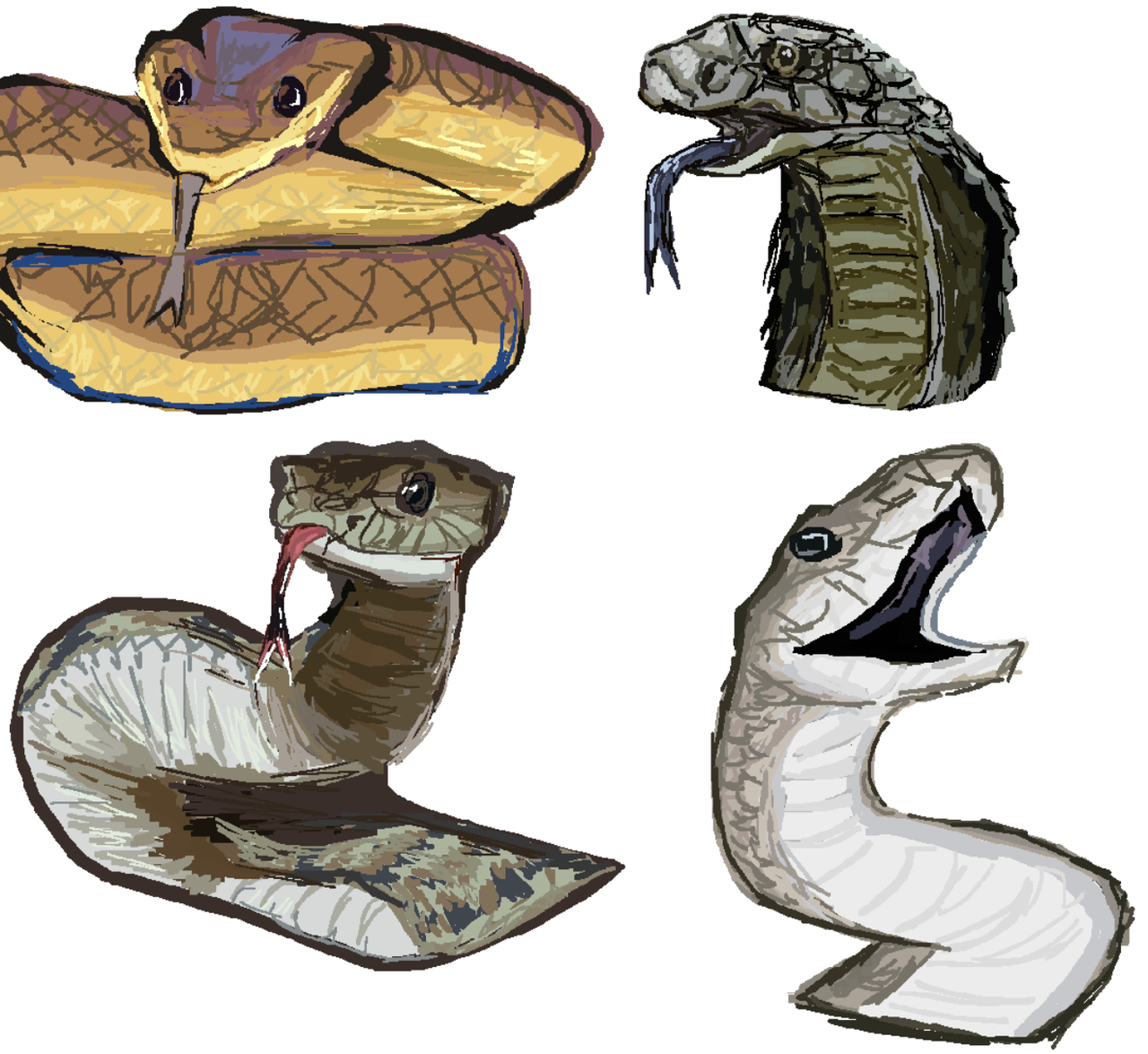 snake study in mspaint
