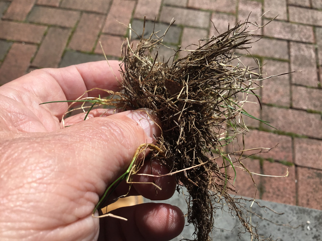 9217B090-E7EB-4CBF-BF2B-9E606D8E554B