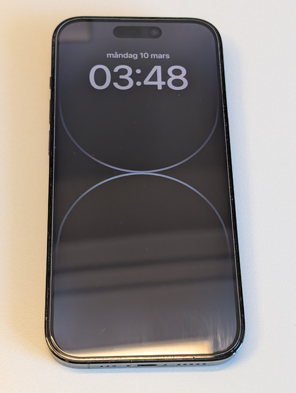 PXL_20250310_104812441