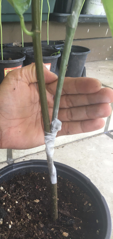 01FDB74F-9459-4F0B-9773-FCBFC934C58A