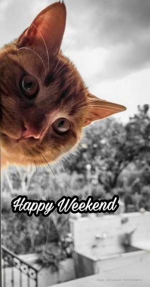 WEEK-END-20