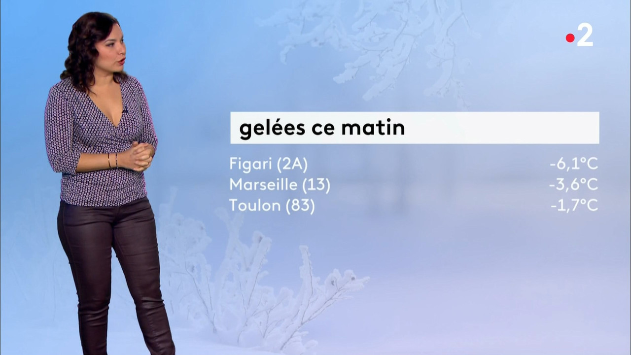 12 January - 11.55.00 - Météo 2. Meteo 2.ts_snapshot_06.13_[2019