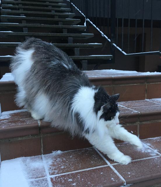 4-A57-DA2-D-2345-47-E7-AC43-D1-F1-D71-F0