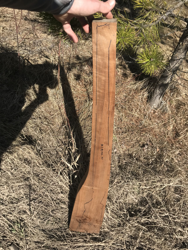 17F1FF0B-EF9E-48F3-94E8-85675E7EC159