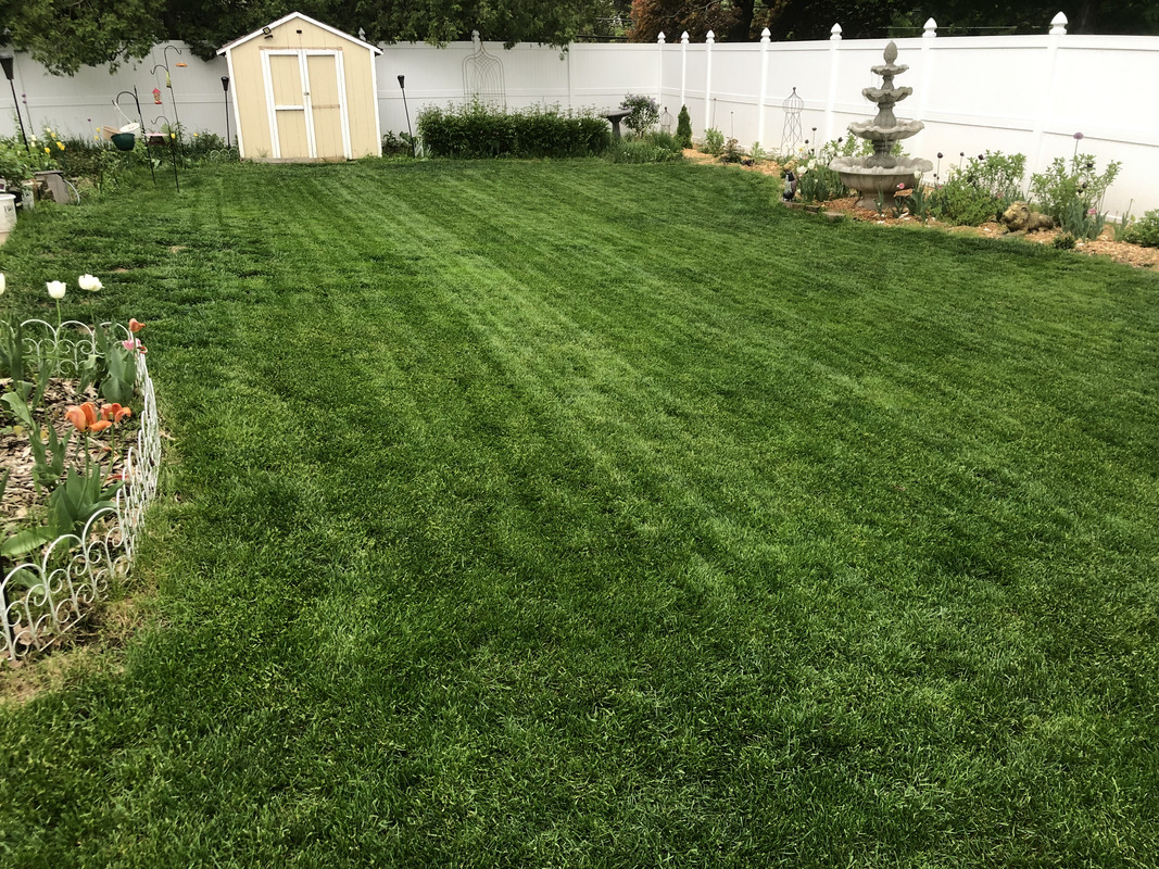 FA39177E-6DB5-4836-9850-36AE7A8CB0D7