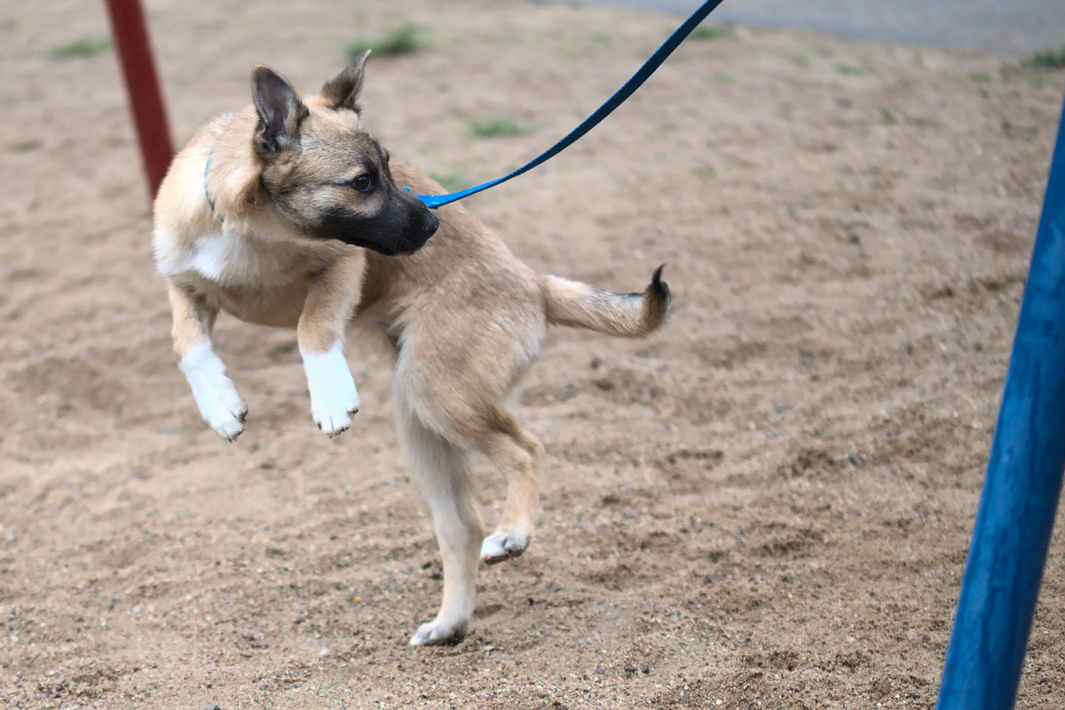 6E754EC1-FBAD-48E6-A27A-541FBEE631E0