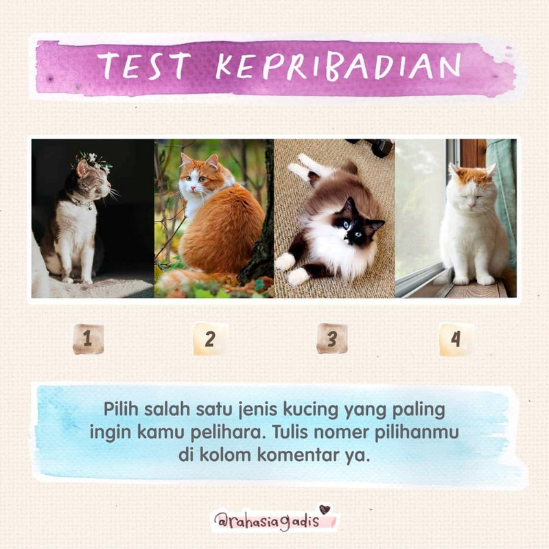 Tes Kepribadian