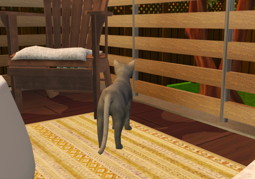 Sims2-EP9-RPC-2022-05-13-15-40-08-92