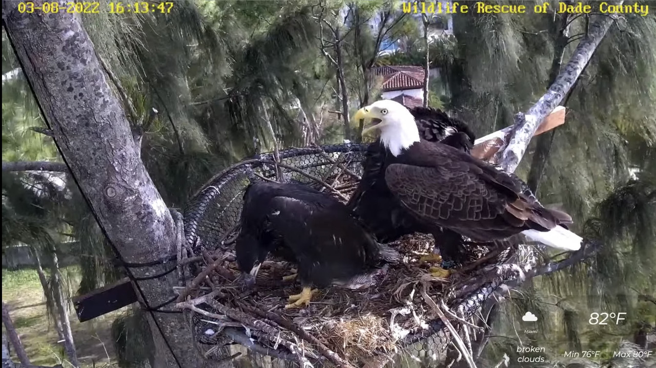 AAABF6B4-F3AB-48E8-9604-4FB84B966EDC