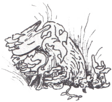 most recent profile art for a cat in the game