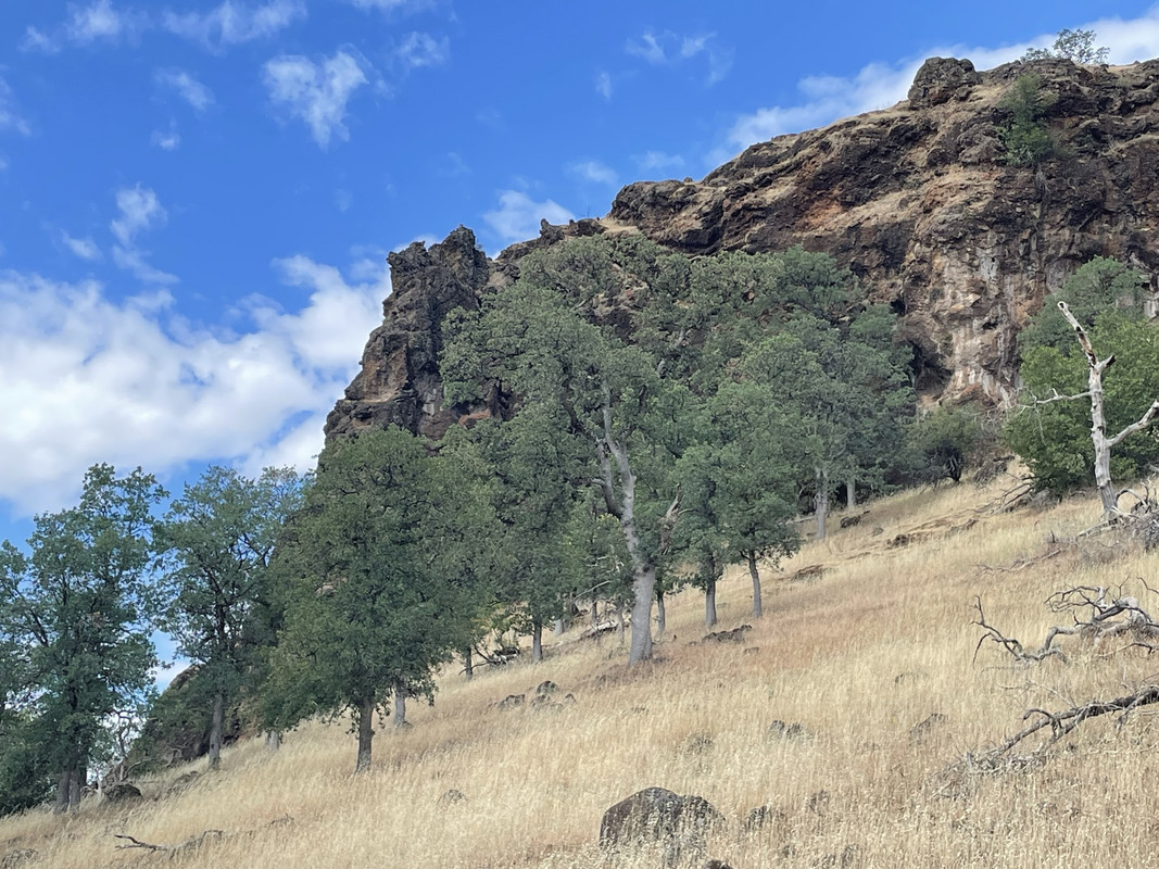 4BD92F50-4D5C-4B49-9135-2F2419A8DF26