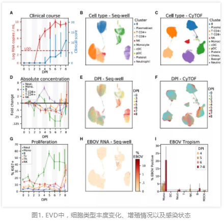 埃博拉病毒病的单细胞图谱分析揭示了病毒与宿主的动态变化-1.png