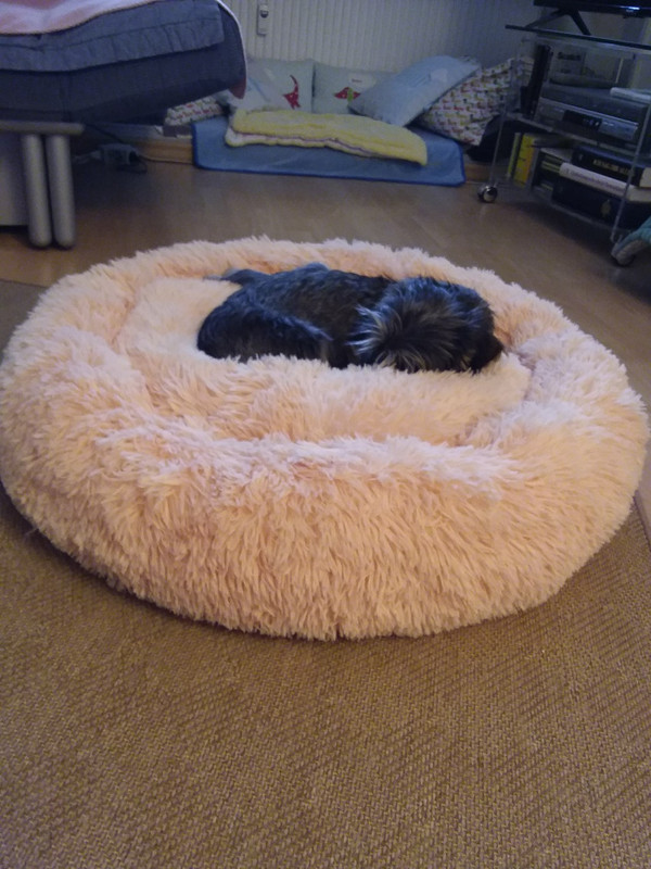 [Image: 20210109-151509-copy-1024x1365.jpg]