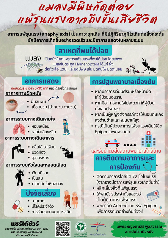 anaphylaxis insect