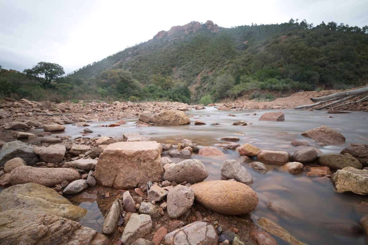 60696935_10157157646016069_6301961773473857536  pooo