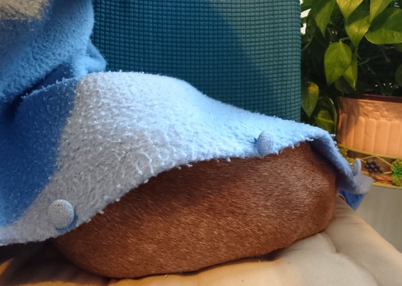 [Image: DSC-2331-A.jpg]