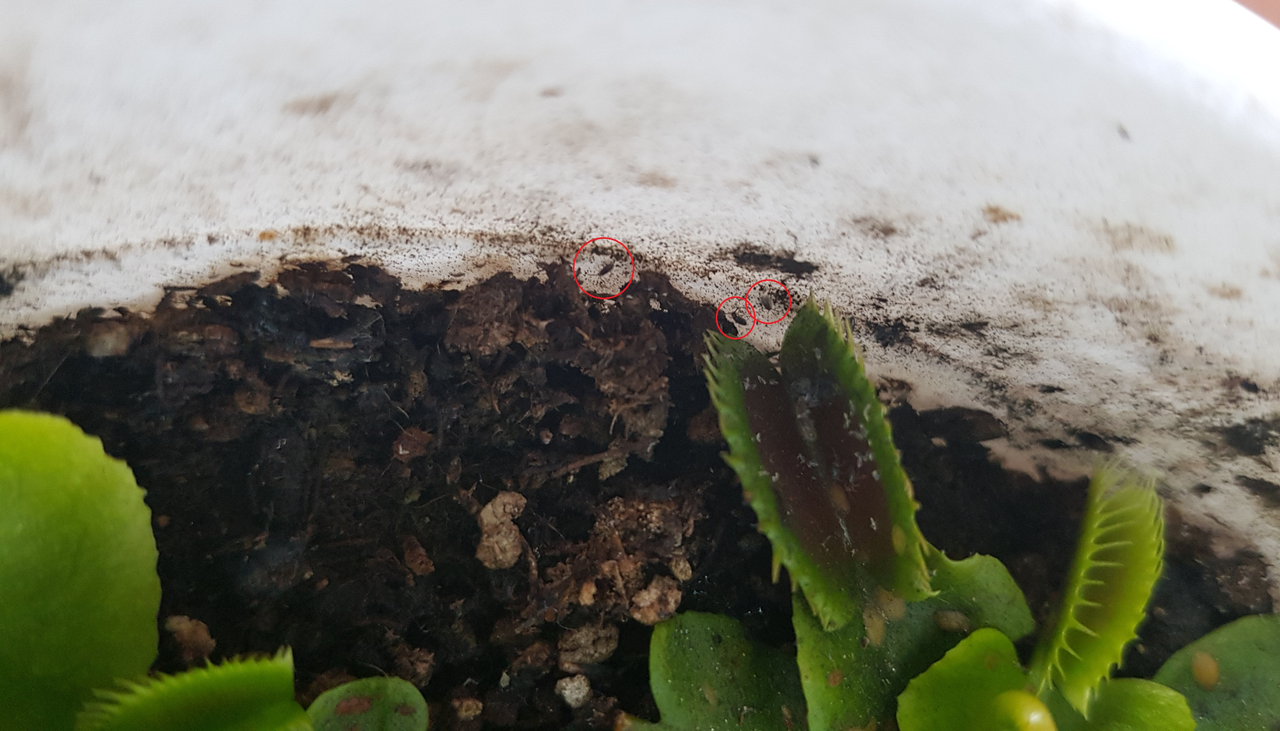 deNTOnoRS9y7y-f2ztFUGg