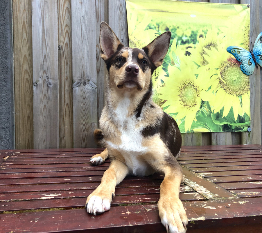 005A794E-71A1-47B3-9A2A-CB2AE04D2BFE