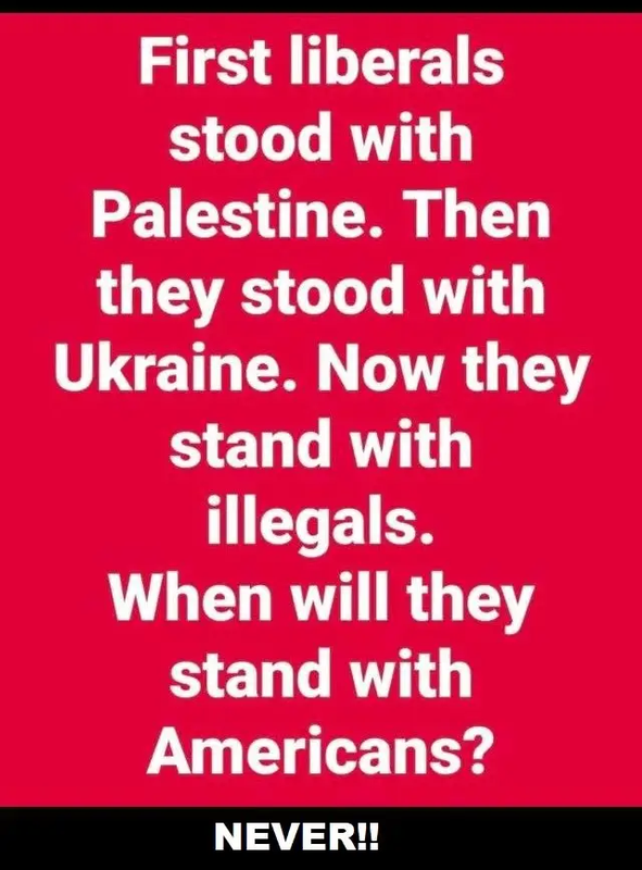 Screenshot 2026 05 22 at 14 16 11 Meme Political Page 1368 Yellow Bullet Forums