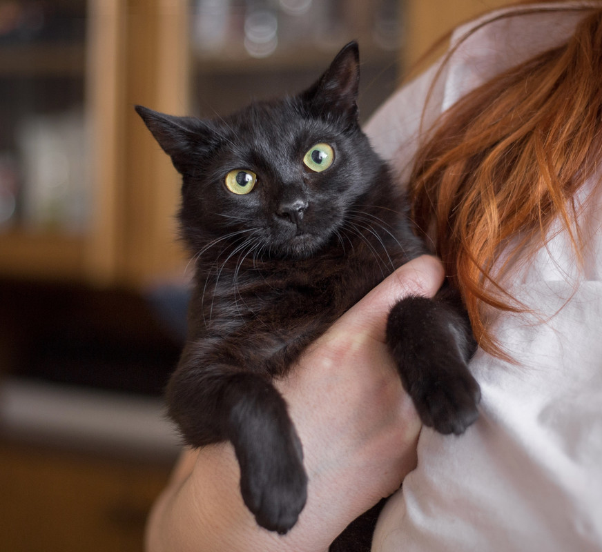 image-12-03-22-08-41