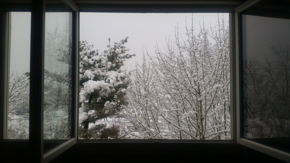 [Image: 27747646-710378019351321-7255363692292621900-o.jpg]