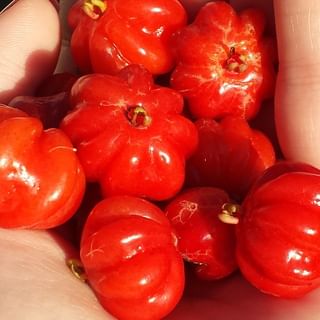 11137705_463311187155218_516943475_n