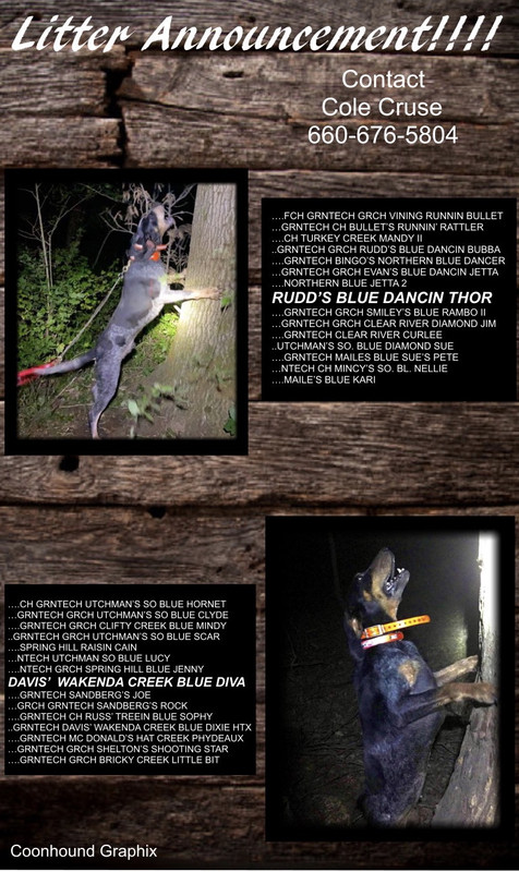 C58E0E4B-8913-4E62-91F8-AE6A4977A6D9