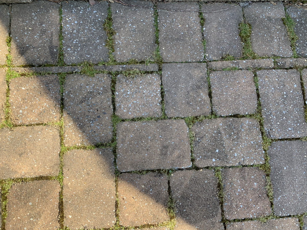 FCA81D1C-DF7A-49B5-9214-C8D56693EB38